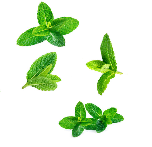 supermint 10ml whats inside 1085x1050 eu