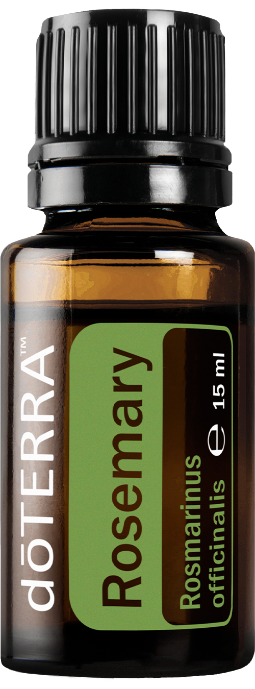 rosemary15ml large 500x1350 eu